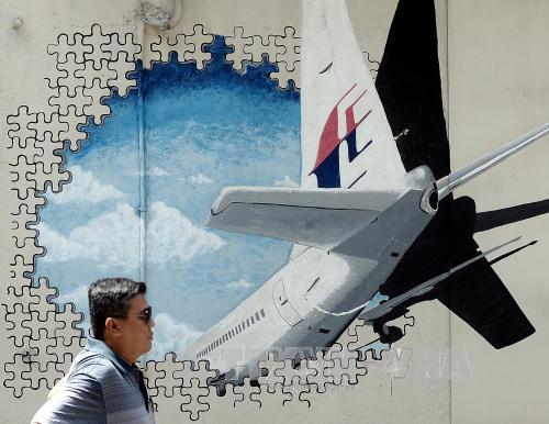 Công ty tư nhân Mỹ thông báo dự kiến kết thúc tìm kiếm máy bay MH370 ảnh 1
